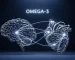 Omega-3 Yağ Asitleri: Bilimsel Gerçekler ve Günlük Hayattaki Yeri